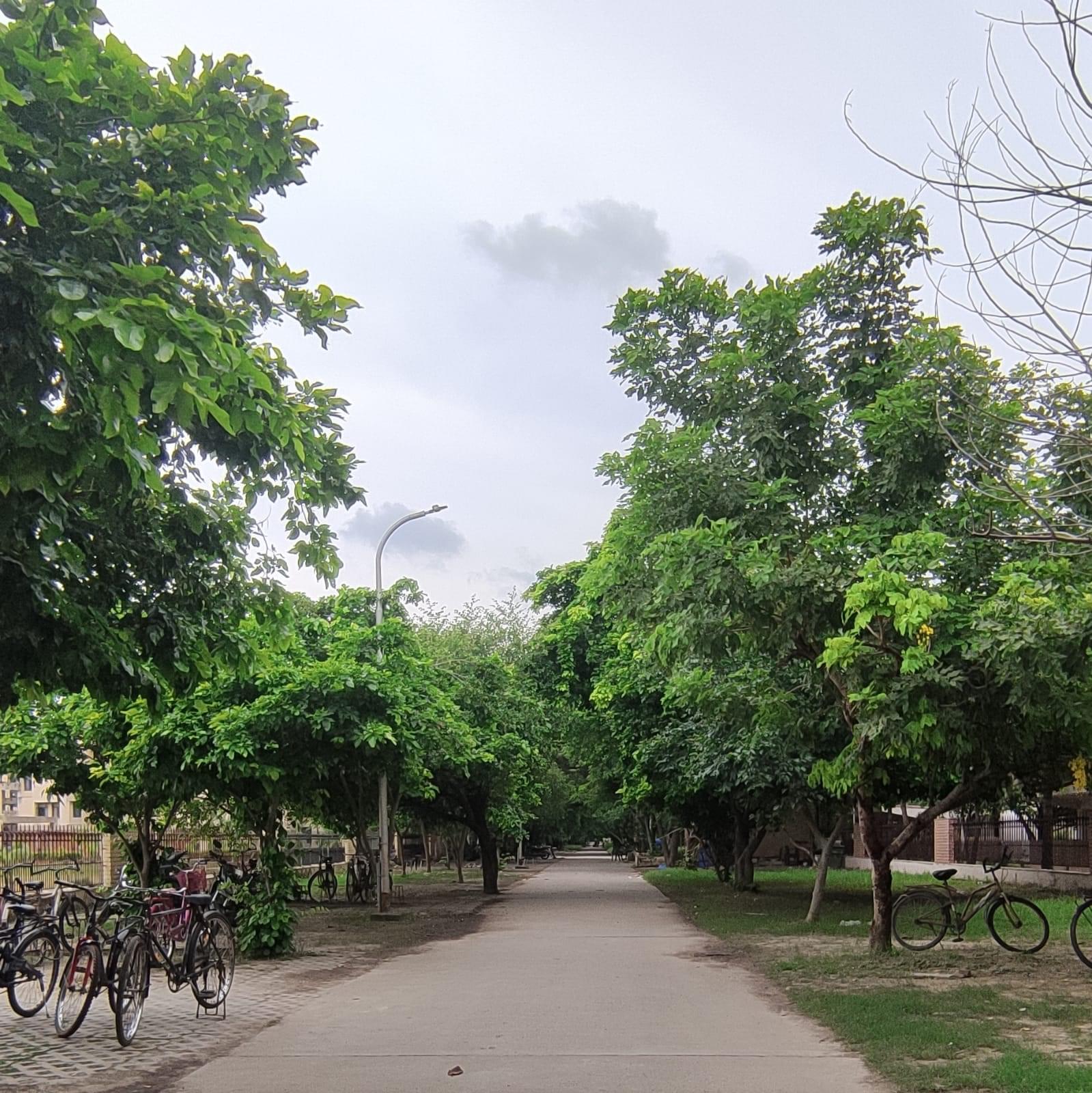 Department of Management Sciences, IIT Kanpur General photo 2